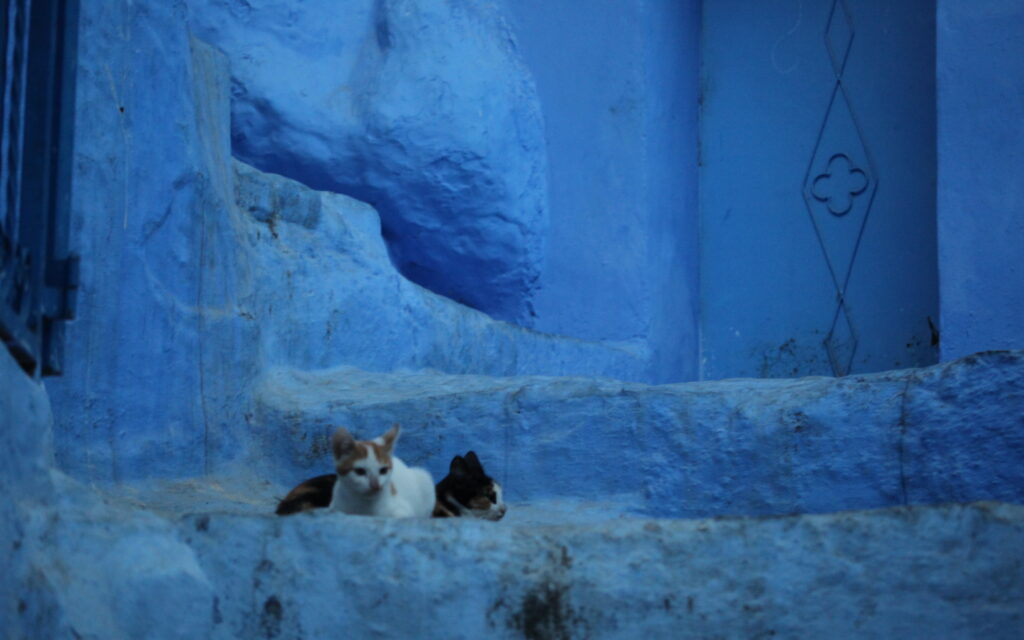 3 days private tour to tangier via chefchaouen