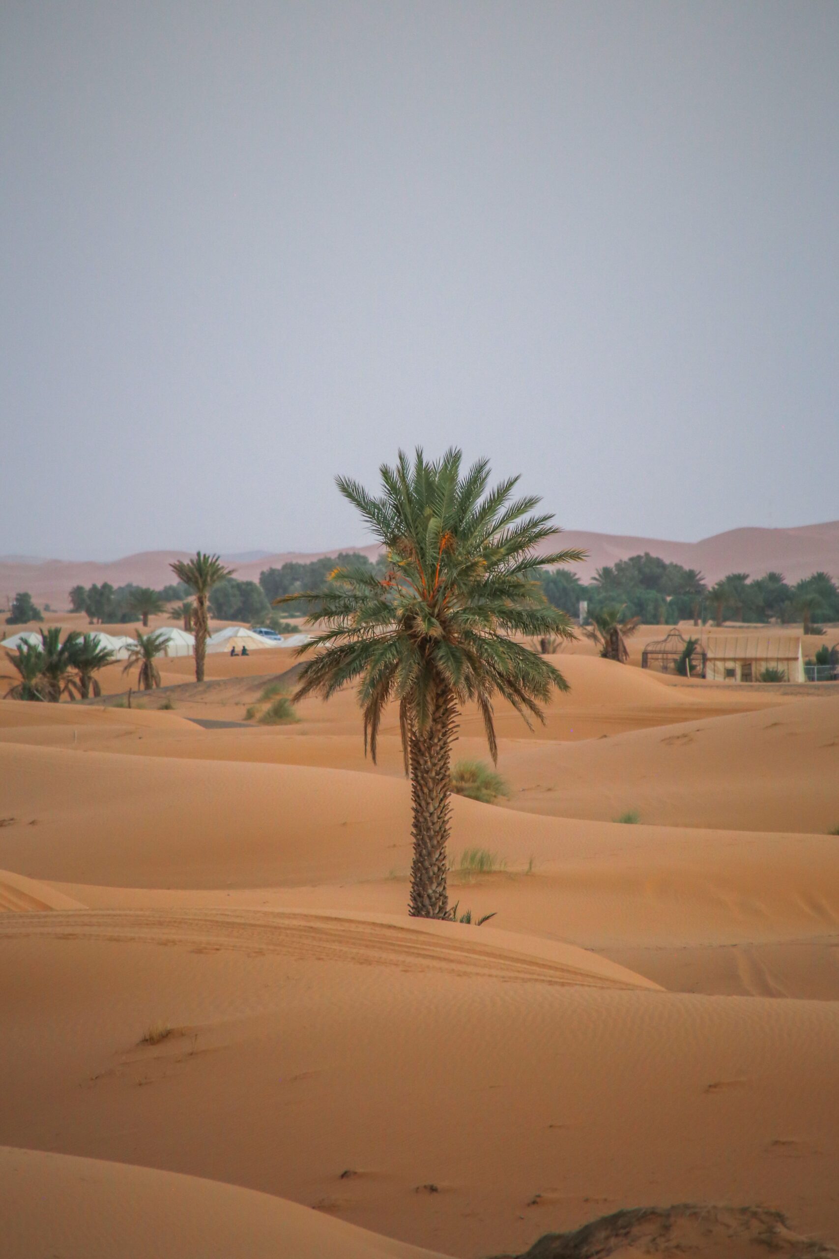 pexels-yassine-oukhadjou-2159611546-36218738