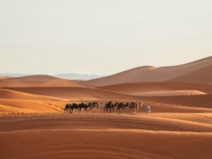 5 days desert tours from Casablanca