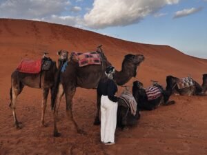5 days desert tours from Casablanca